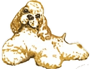 Hondentrimsalon Nudos Logo
